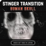 Stinger Transition with Skull for streaming horror games