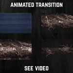 Stinger Transition with spider glitch for streaming horror games