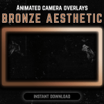 Brown webcam frame overlay for streaming on twitch