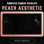 Peach Aesthetic Webcam Overlays for streaming