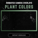 Plant color webcam frame overlay for streaming on twitch in cottagecore style